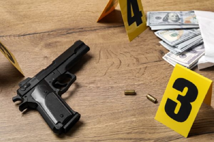 lawyers guns money blog